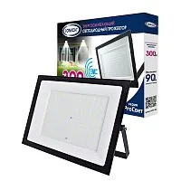 Прожектор светодиодный IFL-300-865-BL-IP65-ProСвет 300Вт 6500К IP65 27000лм IONICH 1659