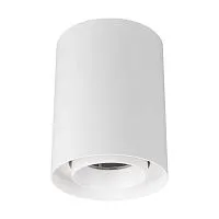 Светильник светодиодный SP-FOCUS-R110-18W Warm3000 WH 24deg 230В IP54 18Вт 3000К метал. Arlight 054839