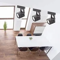 Светильник трековый TR10-GU10 MR16 1ф BK черн. Эра Б0044262