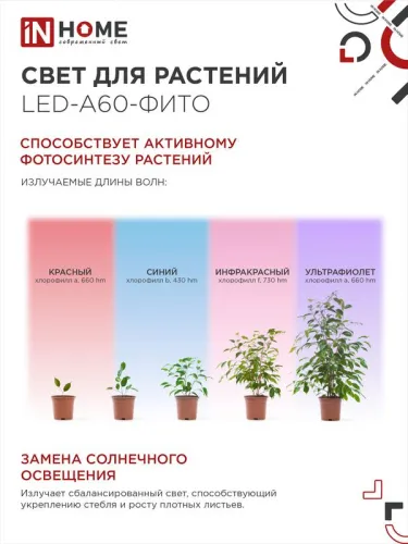 Лампа светодиодная LED-A60-FITO 15Вт A60 грушевидная E27 230В для растений IN HOME 4690612036502 фото 4