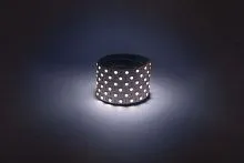 Лента светодиодная LS5050 -14.4-60-12-6500K-IP20-1 year-5m холод. бел. (уп.5м) Эра Б0059910