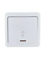 Переключатель проходной 1-кл. 1п ОП Viola 10А IP20 с подсветкой бел. LEZARD 751-0200-114