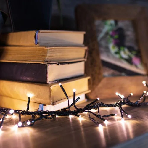 Гирлянда светодиодная "Кластер LED" 3м 288LED тепл. бел. 14Вт IP20 провод ПВХ темн. зел. Neon-Night 303-626 фото 6