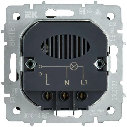 Выключатель карточный BRITE 30А ВС10-1-8-БрГ механизм графит IEK BR-V11-0-10-K53 фото 4