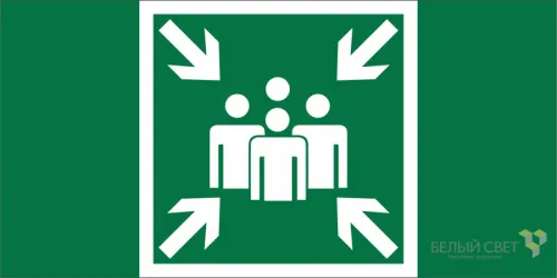 Знак безопасности BL-2010B.E21 "Пункт (место) сбора" Белый свет a19711