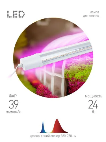 Светильник светодиодный FITO-24W-RB-N 24Вт для растений красн./син. спектр Эра Б0061425