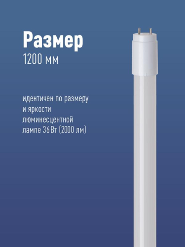 Лампа светодиодная 20Вт T8 линейная 4000К нейтр. бел. G13 220В 1200мм glass КОСМОС Lksm_LED20wG13T840GL фото 2