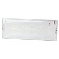 Светильник светодиодный DPA-301-1-65 IP65 40LED 3ч аварийный постоянный Эра Б0051843